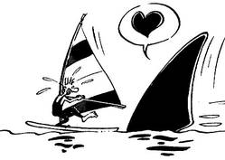 planche à voile - dessin avec aileron de requin